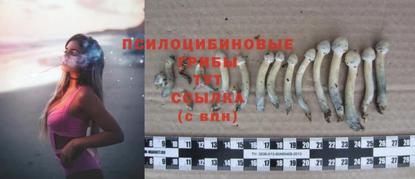 COCAINE Горно-Алтайск