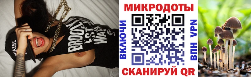 Купить где  Беломорск  Псилоцибиновые грибы MAGIC MUSHROOMS 